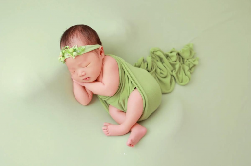 鄂州新加坡试管医院哪家口碑好？助孕机构推荐指南